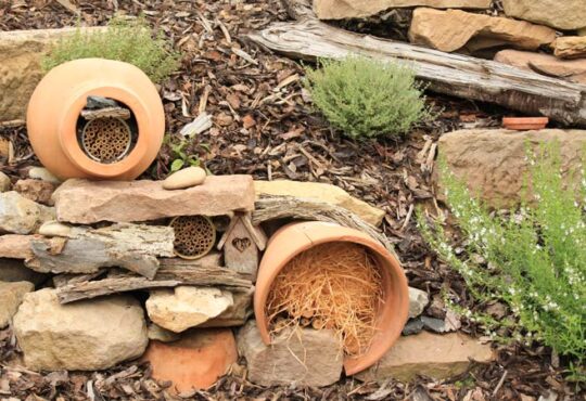 Garten insektenfreundlich