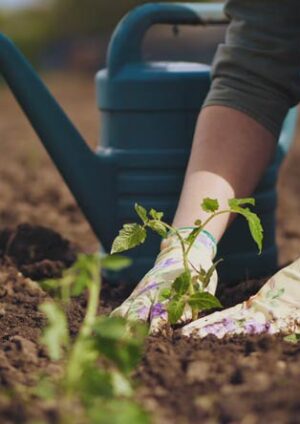 Gartenarbeit im Frühjahr